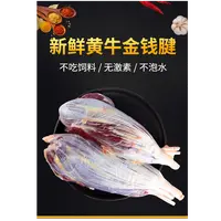 【黄牛金钱腱4斤】黄牛金钱腱 牛盟主大号专用链接