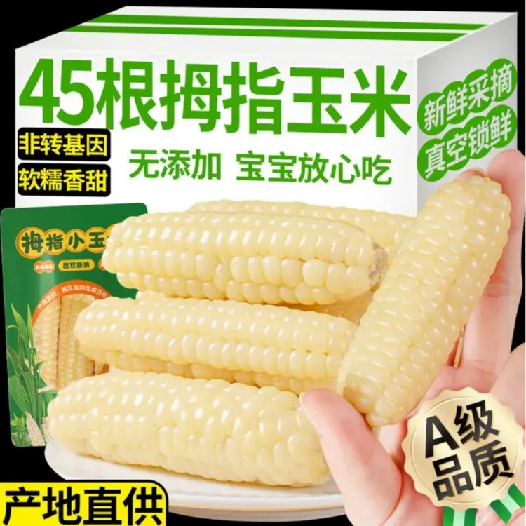 【云滇拇指】云南拇指小玉米甜糯新鲜真空粗粮代餐小糯玉米版纳直播