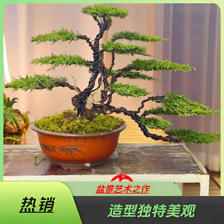 瑞景阁园艺一物一拍专项链接