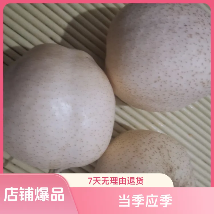 山农酥梨脆甜多汁新鲜水果当季应季无渣现摘现发