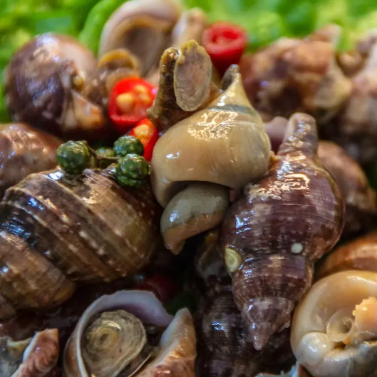 捞汁牛鼻子螺450g/桶 顺丰包邮