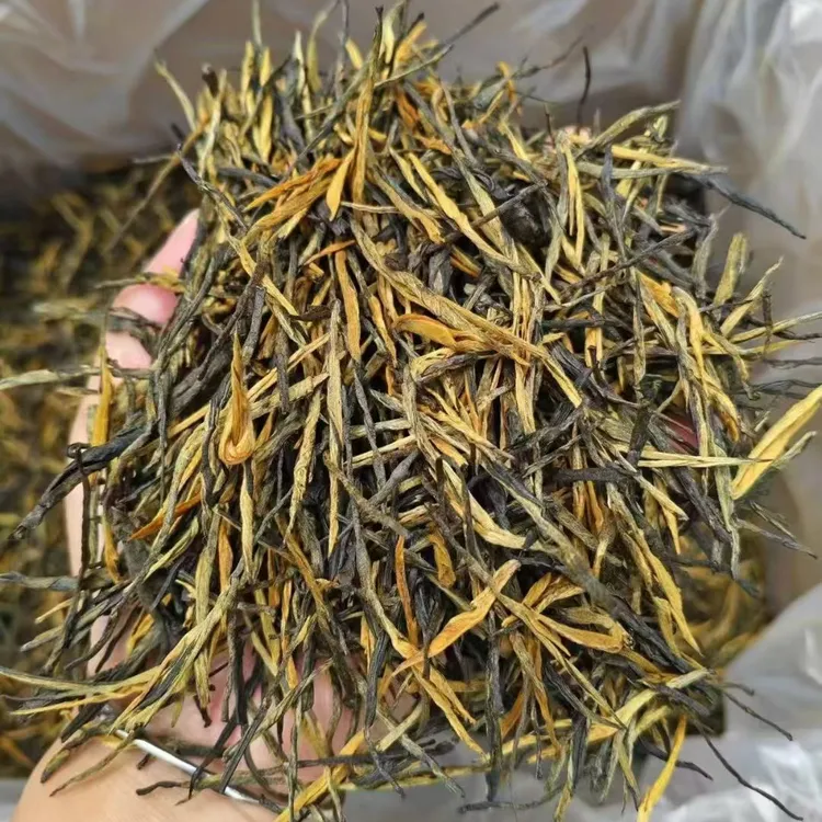 云南古树红茶滇红2025松针