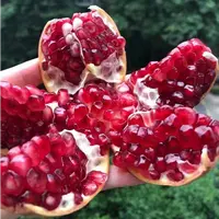 【顺丰包邮】精品突尼斯软籽石榴5斤彩箱装/6枚精美礼盒装 新鲜采摘