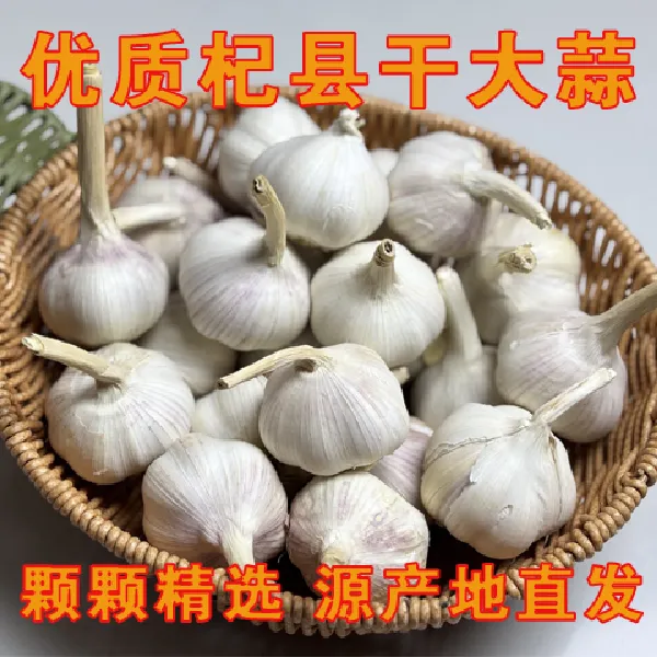 2025农家自种新鲜白皮干蒜可吃可种辛辣提香产地直发辣椒薄皮辣椒