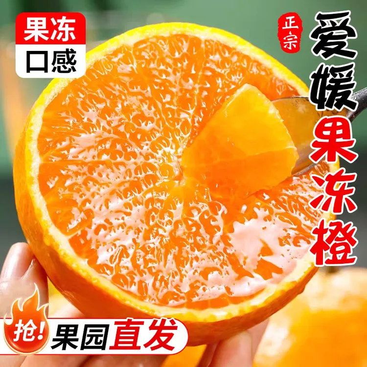 四川爱媛38号果冻橙新鲜水果现摘现发爆甜多汁净重9斤约18-22个