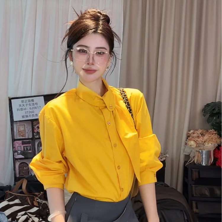 2025春秋季新款法式设计别致衬衫纯欲风长袖宽松气质上衣