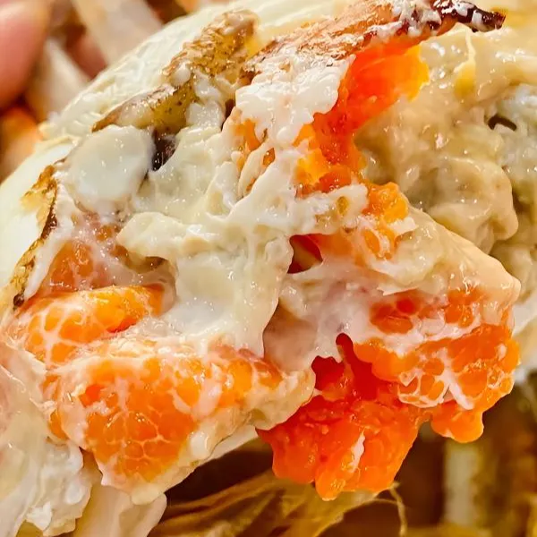 【活蟹】全母蟹 3.5-3.3两6/8/10只 苏州精品大闸蟹 冷链空运