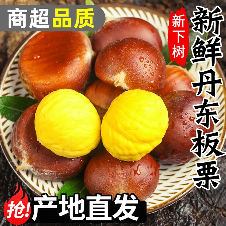正宗丹东生板栗新鲜栗子当季新鲜水果现摘大板栗产地直发难剥皮
