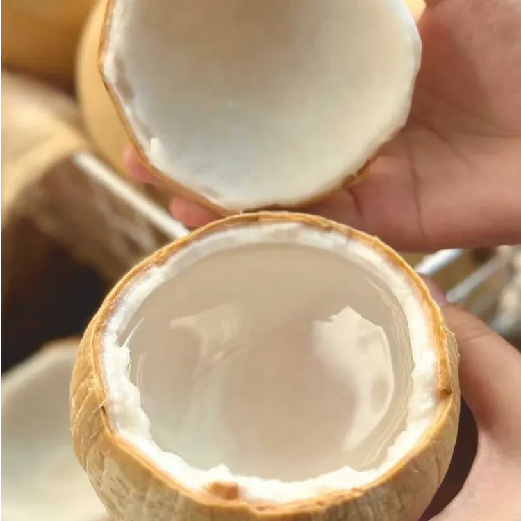 【果优纯专属】泰国奶香椰皇精选老树椰皇奶香浓郁孕妇顺丰快递新鲜