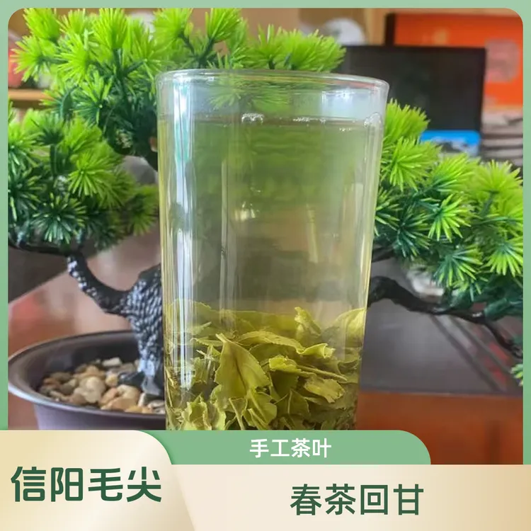 毛尖绿茶嫩芽浓香型手工茶叶春茶清香回甘