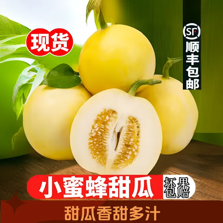 【顺丰】山东头茬小蜜罐甜瓜小蜜蜂星甜20甜瓜香脆甜多汁早甜脆香瓜