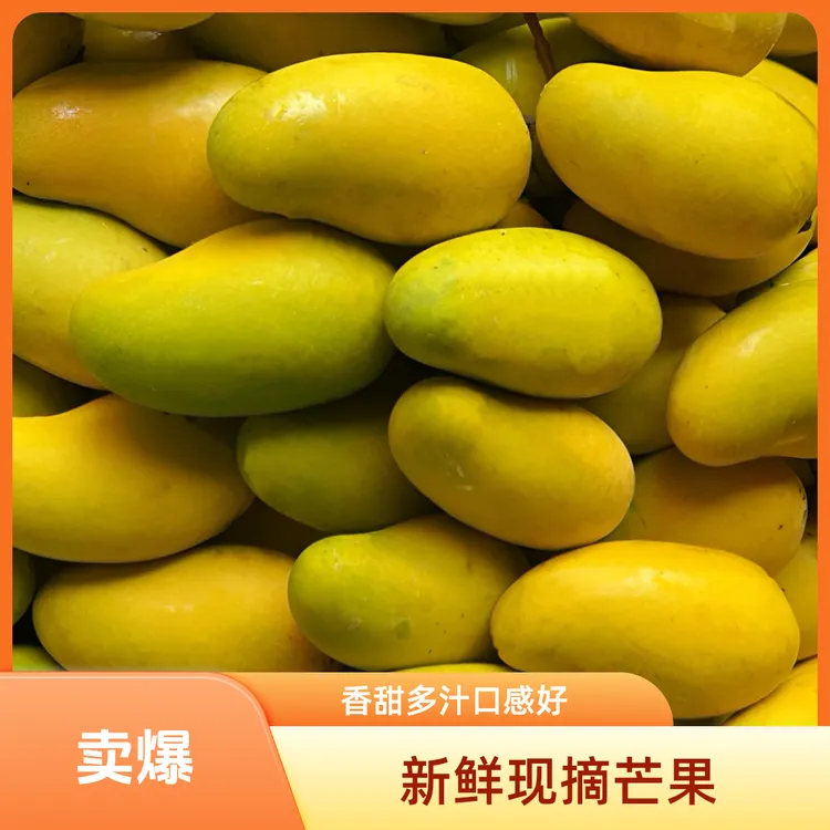 临沧永德老品种三年芒熟果新鲜采摘新鲜香甜饱满鲜嫩3/5/9斤装