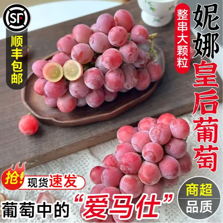 【果园现摘现发】云南弥勒正宗妮娜皇后大果 应季新鲜无籽葡萄提子