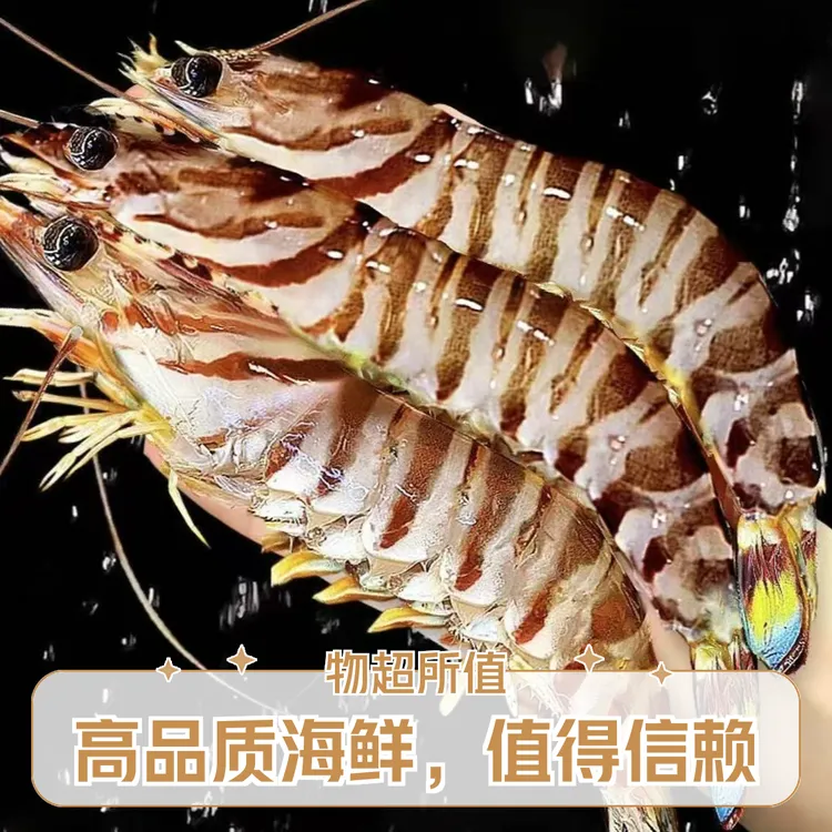 九节虾2-4盒超大斑节虾特大竹节虾大虾海鲜虾鲜活海虾虎虾基围虾