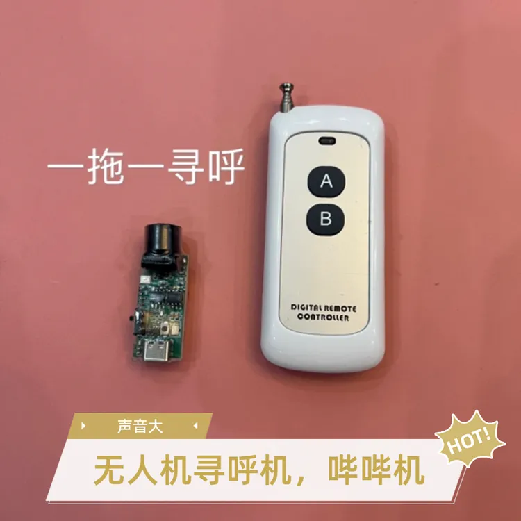 声音大 寻呼机 逼逼机 BB机 找飞机神器 警报器 鸣报器