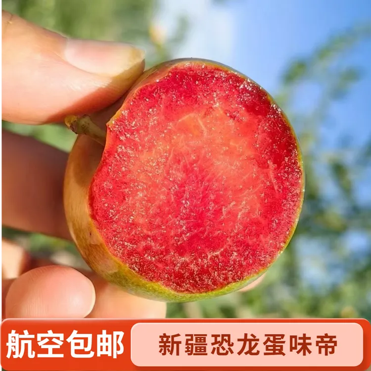 【新疆直发】新疆味帝恐龙蛋李子新鲜应季水果脆甜多汁夏日美味空运
