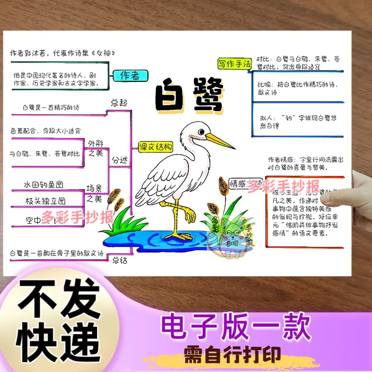 【1457】人教版五年级上册语文第一课《白鹭》思维导图手抄报电子稿