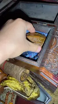 香榧木 一一一一一福利