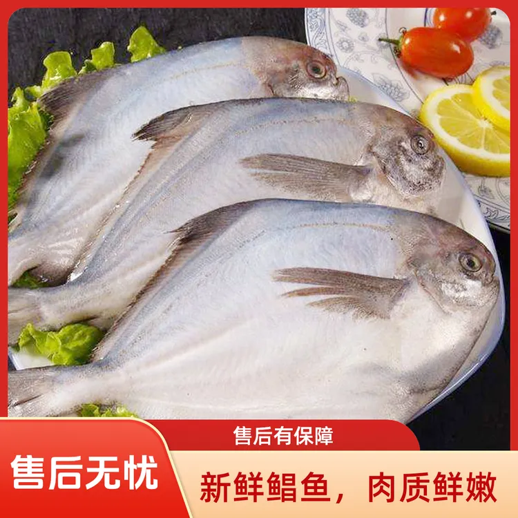 【到手5斤】深海鲳鱼品质新鲜冷冻海鲜顺丰京东包邮