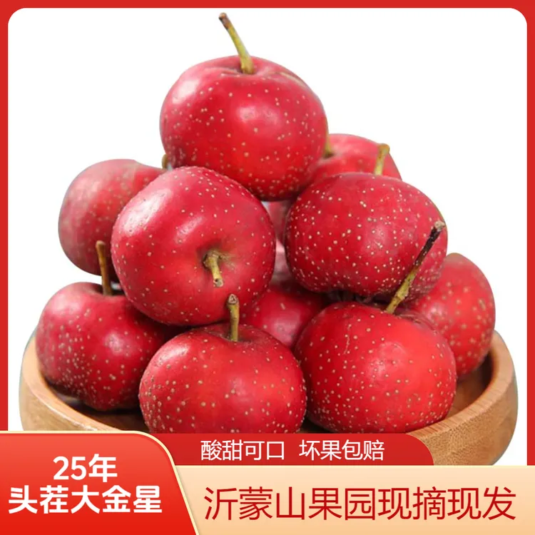山楂鲜果山东沂蒙大金星酸甜果园新鲜水果生鲜