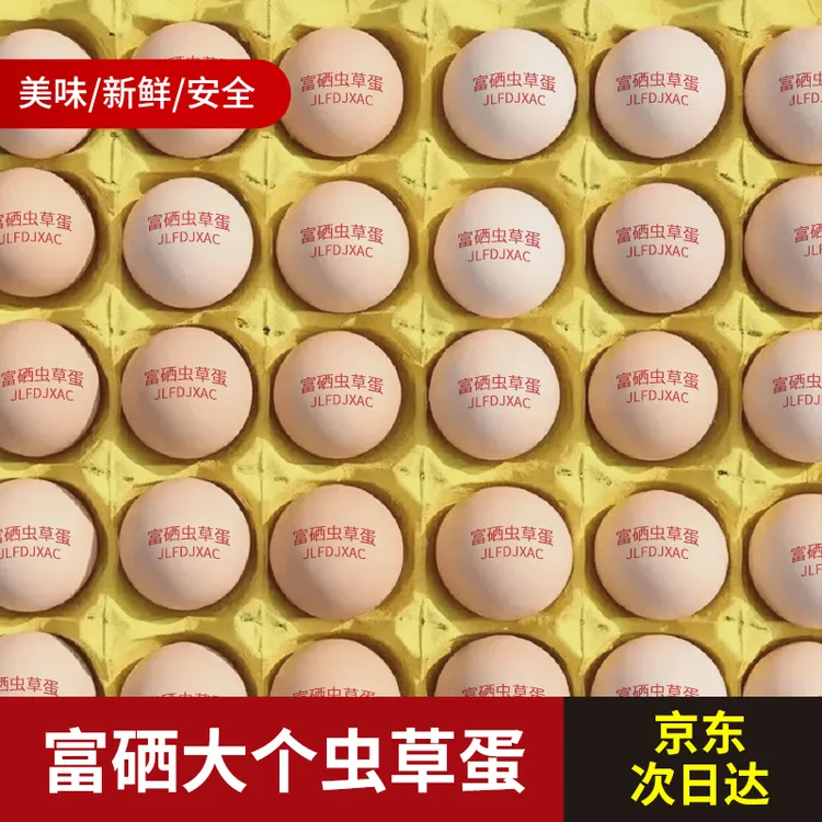【京东上门】富硒蛋新鲜鸡蛋营养白壳无抗大个整箱50枚农家土鸡蛋
