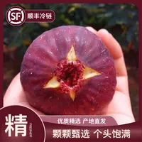 【刘畊宏健康】新鲜无花果四川红皮老树超大无花果王水果应季树熟鲜