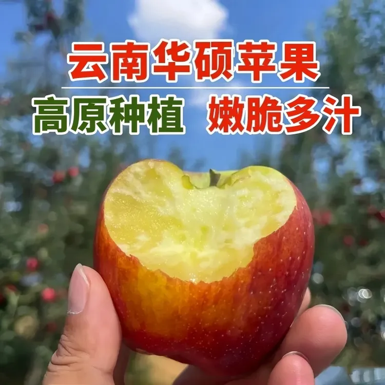 【鲜头茬】云南丑苹果华硕苹果偶有冰糖心当季水果新鲜水果现摘现发