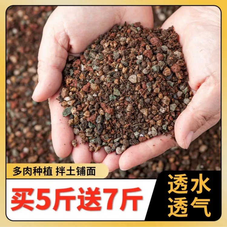 【买五斤送七斤】多肉土专用颗粒土营养土种植土壤船长花园优质颗粒