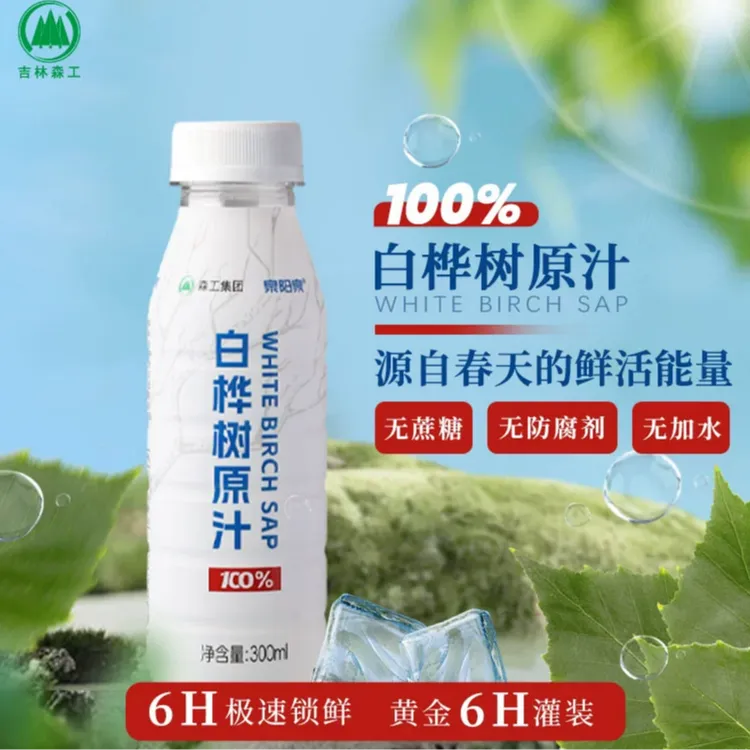 泉阳泉长白山300ml*12瓶开盖即饮0脂肪植物饮料天然白桦树汁原液G
