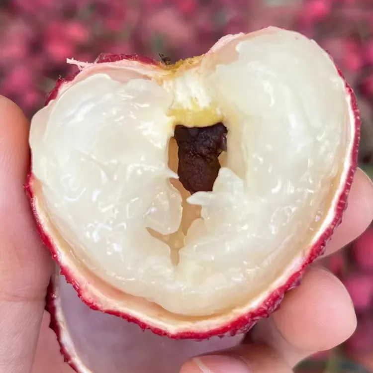 顺丰包邮蜜丁香荔枝王荔枝5斤装超大果当季新鲜现摘鲜荔枝水果