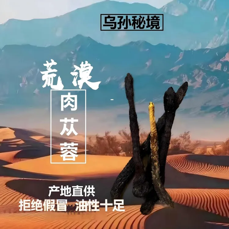【新疆直发荒漠肉苁蓉】约三年生精选肉苁蓉煲汤泡水无添加