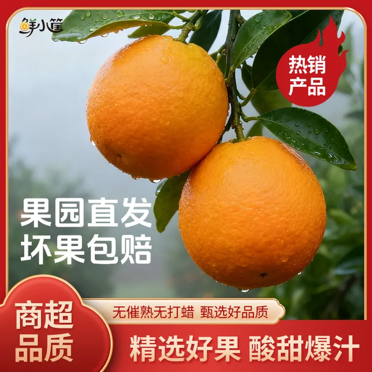 现摘现发秭归脐橙九月红果冻橙应季新鲜水果橙子香甜多汁坏果包赔