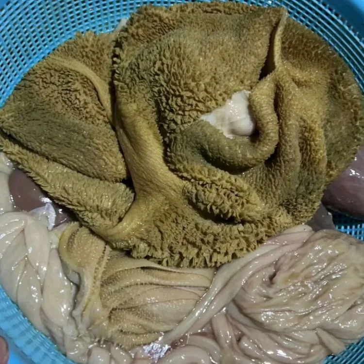 羊杂：黑山羊手工清洗羊杂一整套肚，肠，心，腰，肝，肺