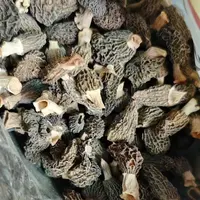 250g*1袋 羊肚菌 干货