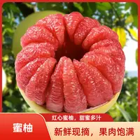 福建平和老树头茬红心蜜柚皮薄肉厚汁水足当季新鲜水果