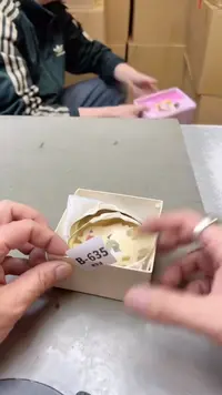 【闪购商品】瓷片635聚宝缘二号店