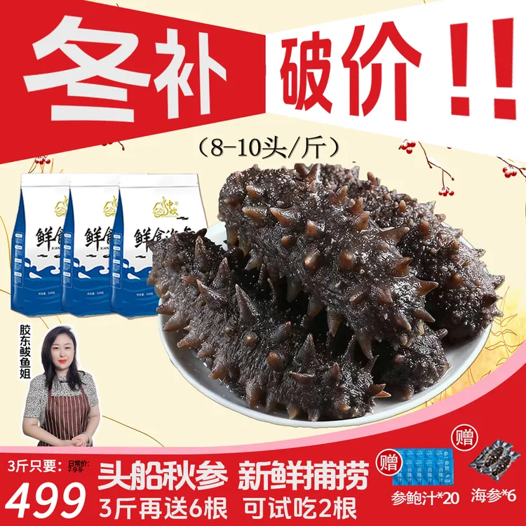 中炊[大]大连鲜食海参3斤25左右8-10头/斤高10CM左右冬季滋补送礼