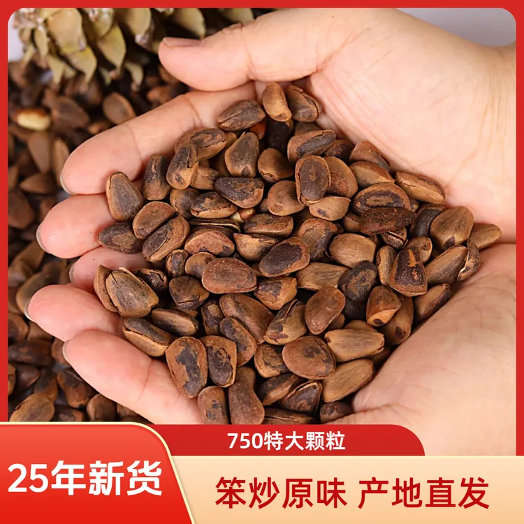 新货原味750A+特大颗粒东北松子开口松子500g特大号松子