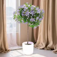 【特级1m-1.2m】大花浓香型木槿花四季开花修剪发货