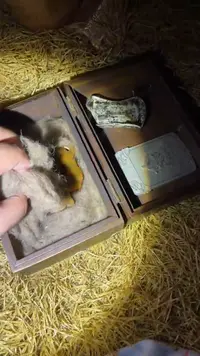 瓷片多多专属精品链接