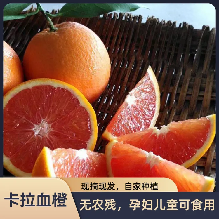 重庆江津卡拉卡拉红肉脐橙孕妇儿童当季新鲜水果(大中小果)