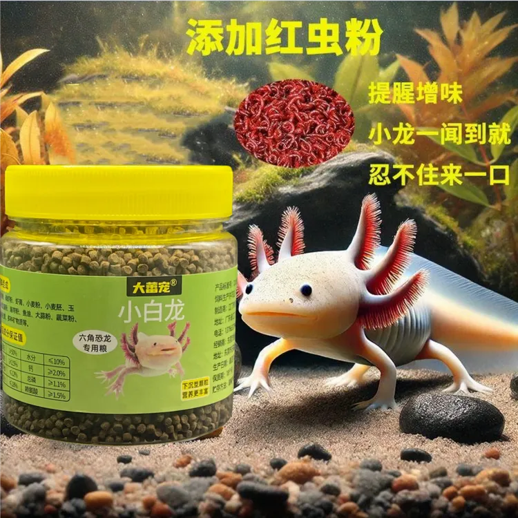 六角恐龙鱼饲料专用鱼粮六六娃娃鱼西方蝾螈饲料鱼食专用饲料粮