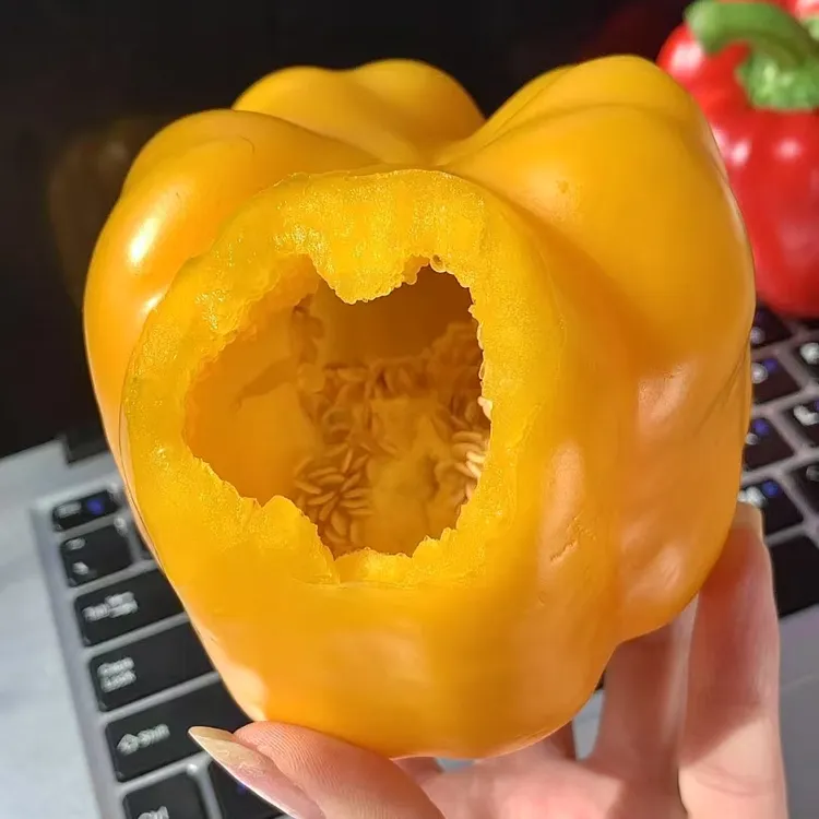 山东寿光水果五彩椒现摘先发应季新鲜蔬菜水果生吃不辣