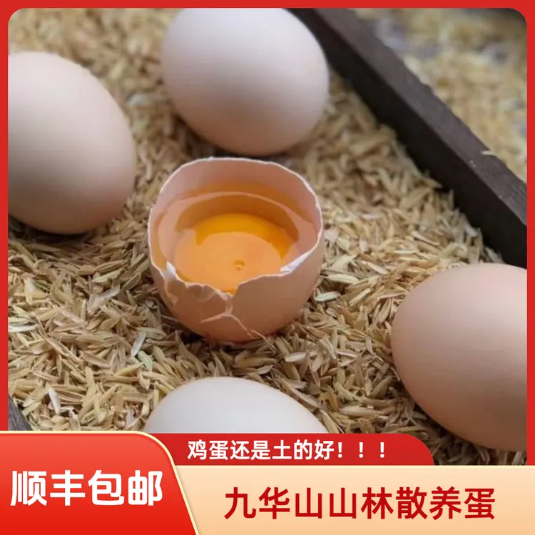 皖南小镇九华山特大号土鸡蛋蛋虫草山林月子蛋初生蛋富硒鸡蛋