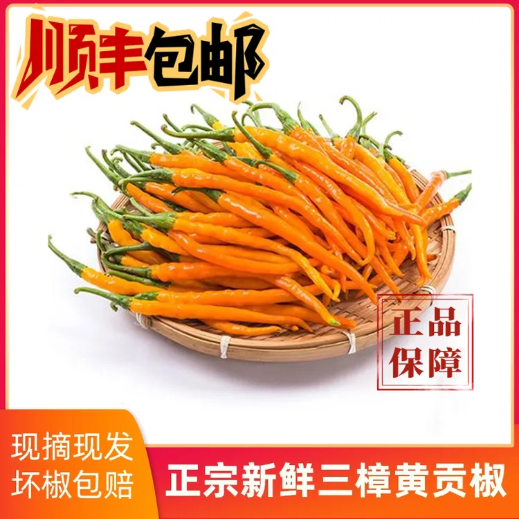 (顺丰包邮）湖南特产衡东新鲜三樟黄贡椒原产地直供现摘现发精选