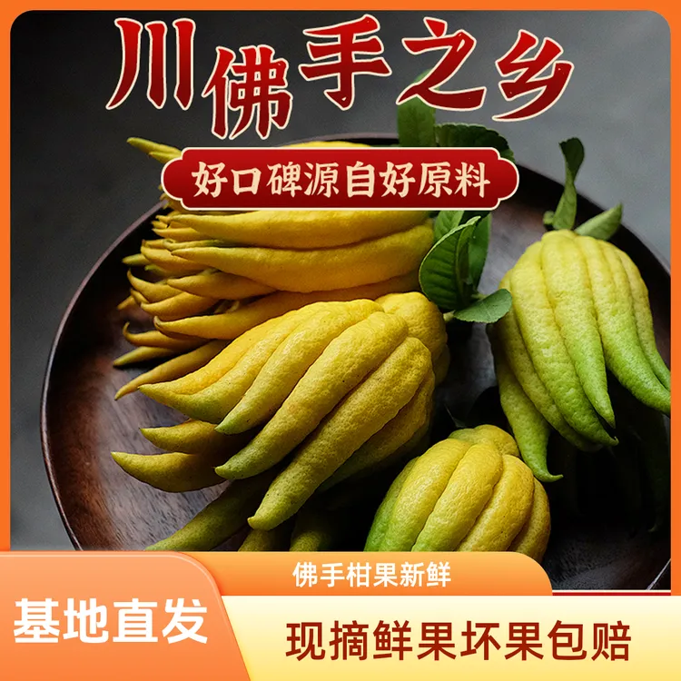  【随机中小果】川佛手鲜果摆件闻香卧室[共400克]