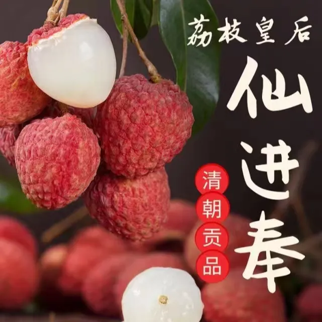 空运包邮增城仙进奉荔枝新鲜水果当季整箱现摘现发荔枝大果包邮