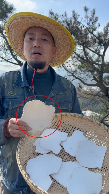 岳西胡子哥大别山无硫茯苓片生切生晒天然原生态精选大薄片产地发