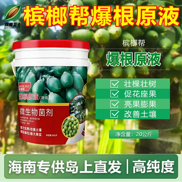槟榔壮棵膨果促花增果水溶桶装有机肥