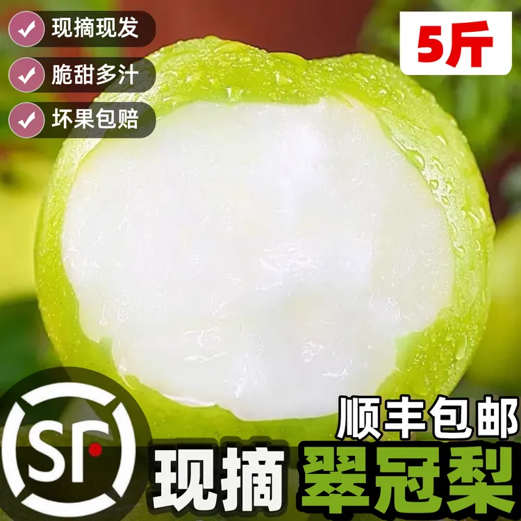 【顺丰】9斤头茬青皮蜜梨梨子皮薄肉脆清甜多汁维生素c水果整箱水果